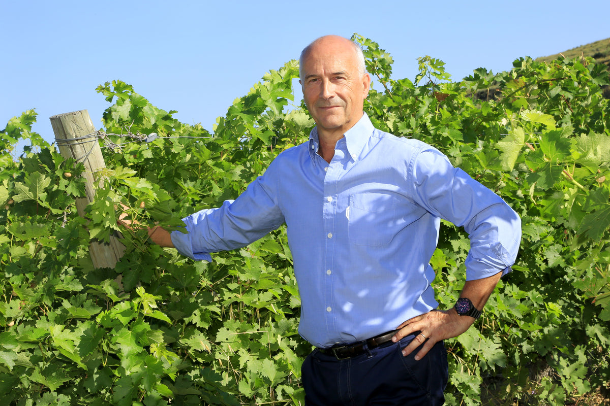 Jacques Frelin Viñedos