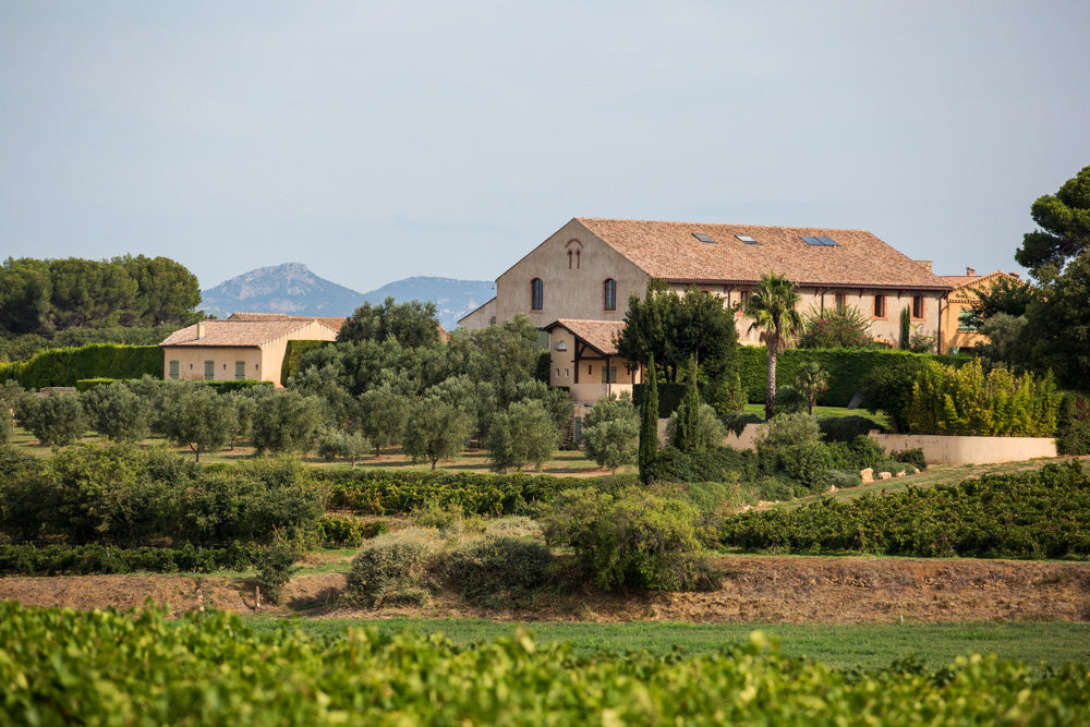 Finca de Sarus