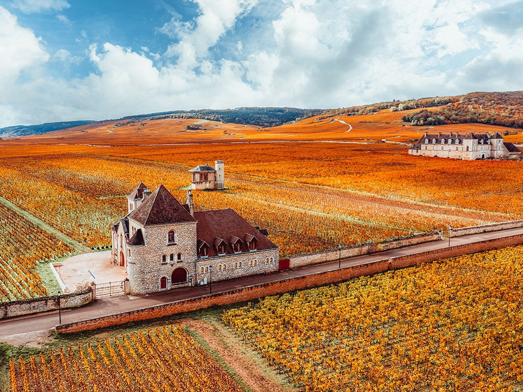 Finca Olivier Gard