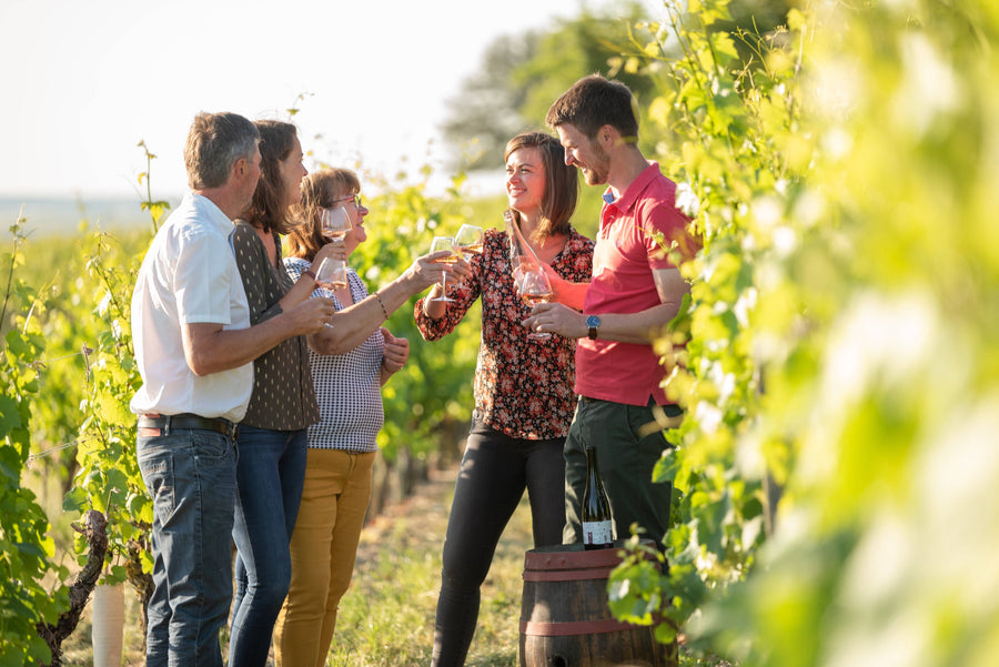 Domaine Du Moulin De L'Horizon