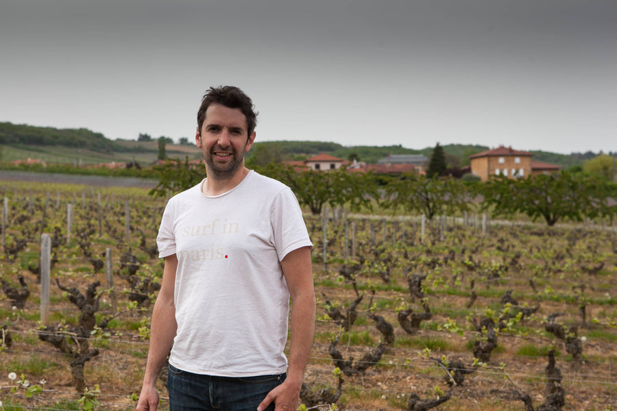 La familia K