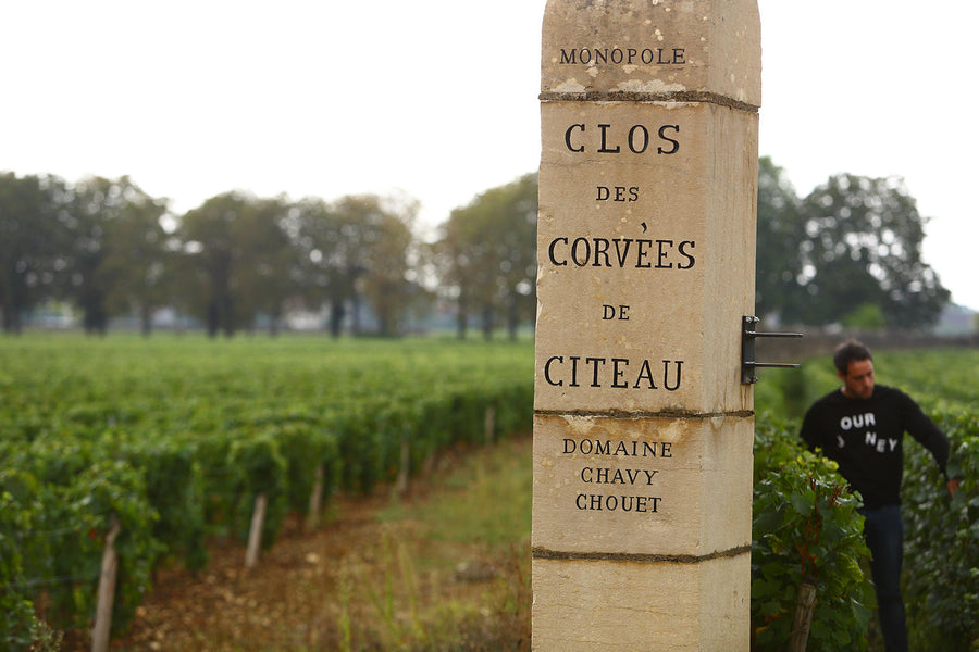 Finca Chavy-Chouet