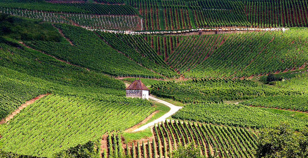 Jura Region