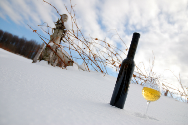 Tutto quello che c'è da sapere sulla temperatura ideale di servizio dei vini
