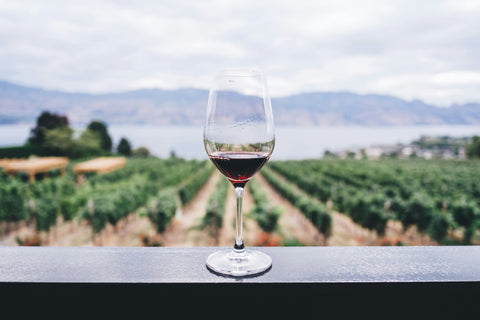 Flaschen mit „Vin de France“-Weinen, aufgereiht in einem Kellerregal