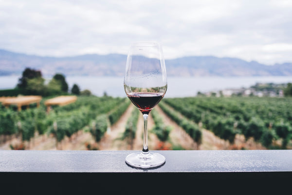 Vin de France : pourquoi l'intégrer à votre carte