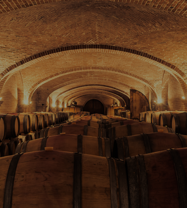 Nos petites nouveautés