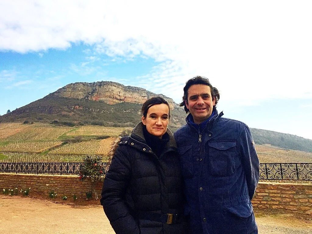 Domaine Sangouard Guyot