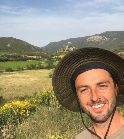 DOMAINE PETER SICHEL