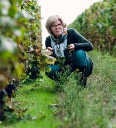 Château de Fontenay