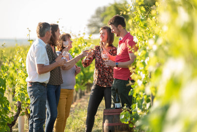 Domaine du Moulin de l'Horizon