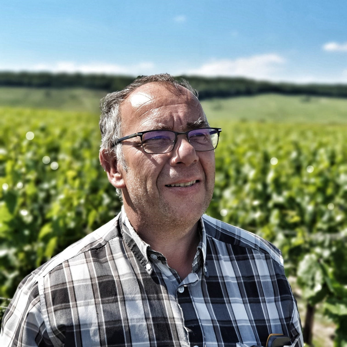 Champagne Naveau