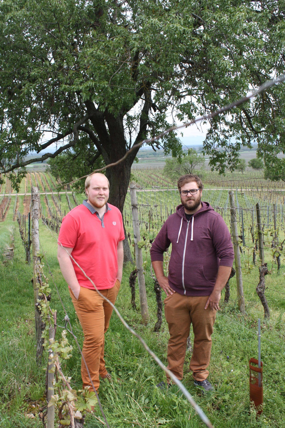 Domaine Specht