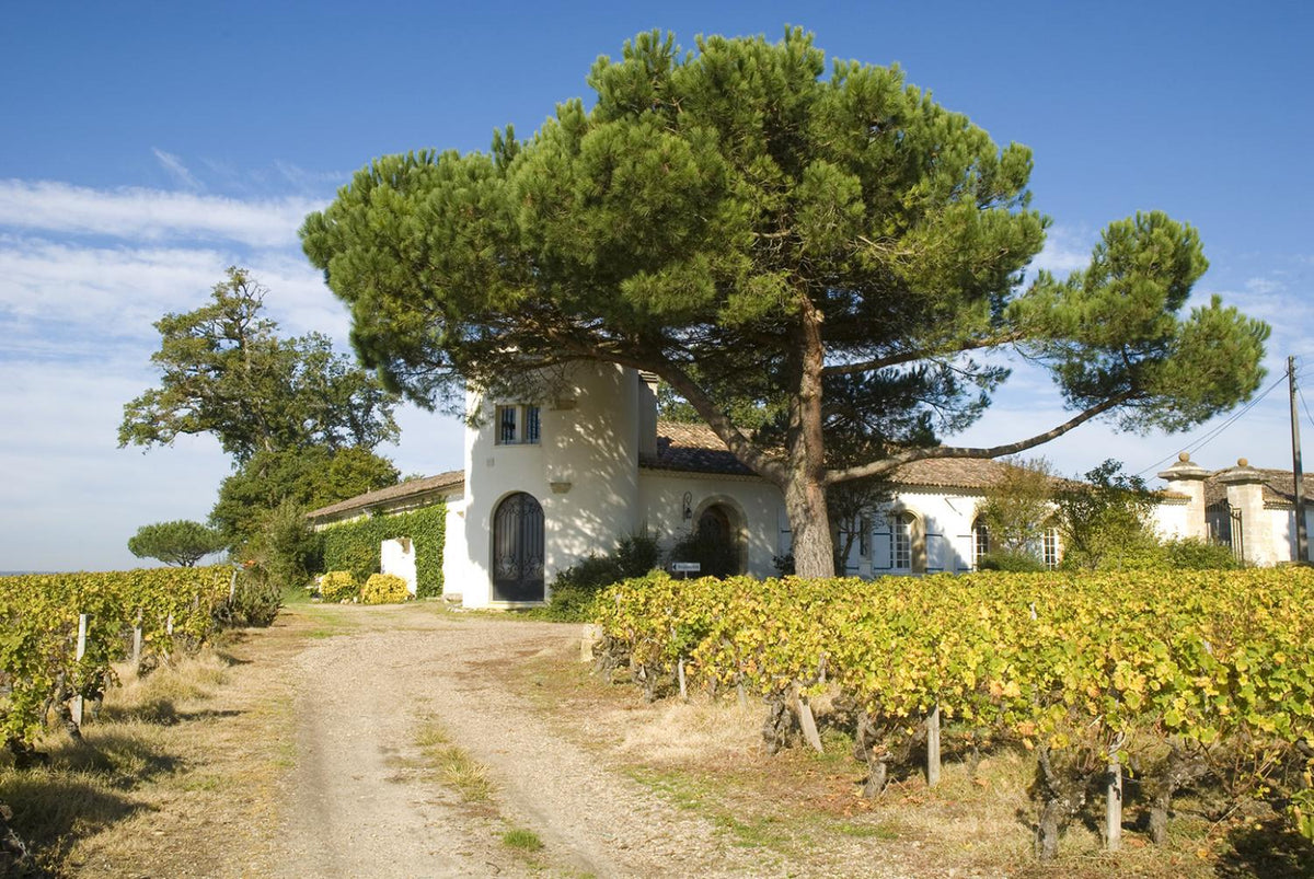 Château Lamothe