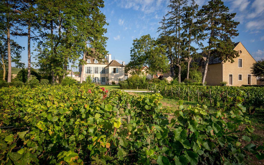 Domaine du Pavillon