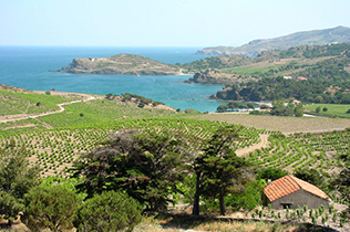 Región del Rosellón