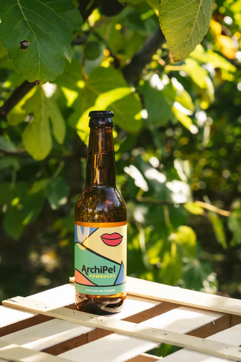 Kombucha mit Feigenblättern 33 cl – Archipel