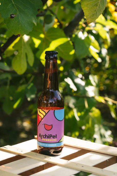 Kombucha mit Johannisbeerblättern 33 cl – Archipel