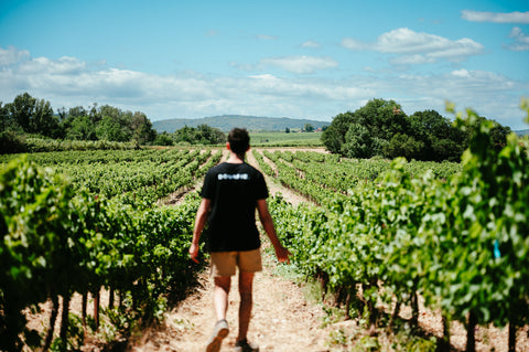 Nos vignerons incontournables