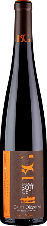 Pinot Noir Galets Oligocène 2020