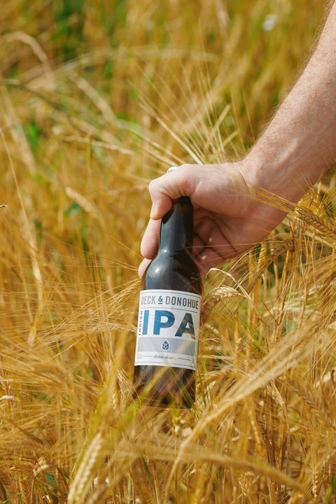 Indigo IPA, bitteres und fruchtiges Bio-Bier, 33 cl – Deck & Donohue