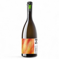 Bouteille de vin Prosecco Frizante du domaine Terre dei buth